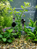 Poisson perles violette, plaque métalique