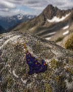 Impression 3D Loup violet étoiles