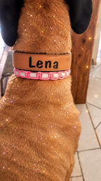 Collier Céralique perles EM anti tiques Chiens, chats La fée bricole